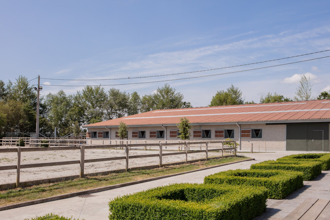 Paardenhouderij Green field